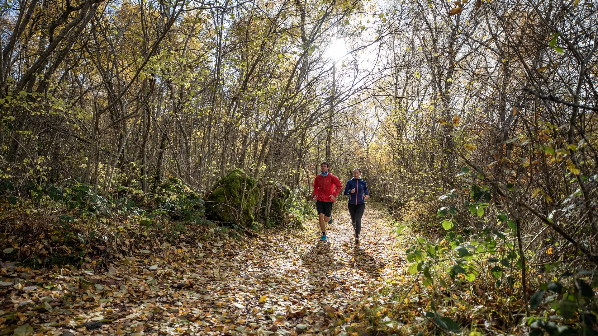 Sur les hauteurs de Volvic