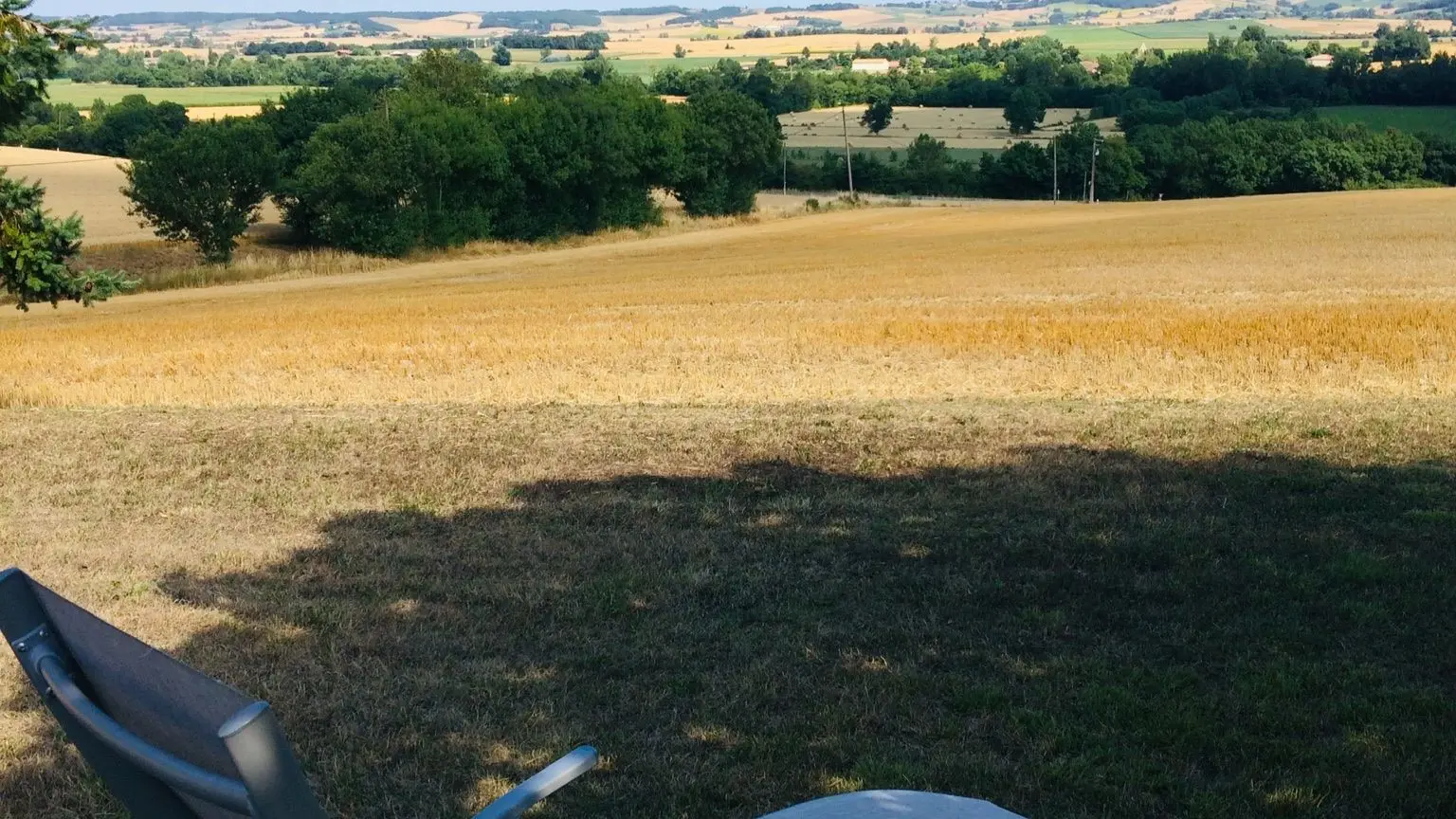 A l’ombre du figuier