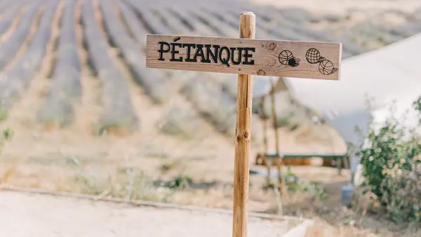 Visite d'un champ de Lavande Aix en Provence