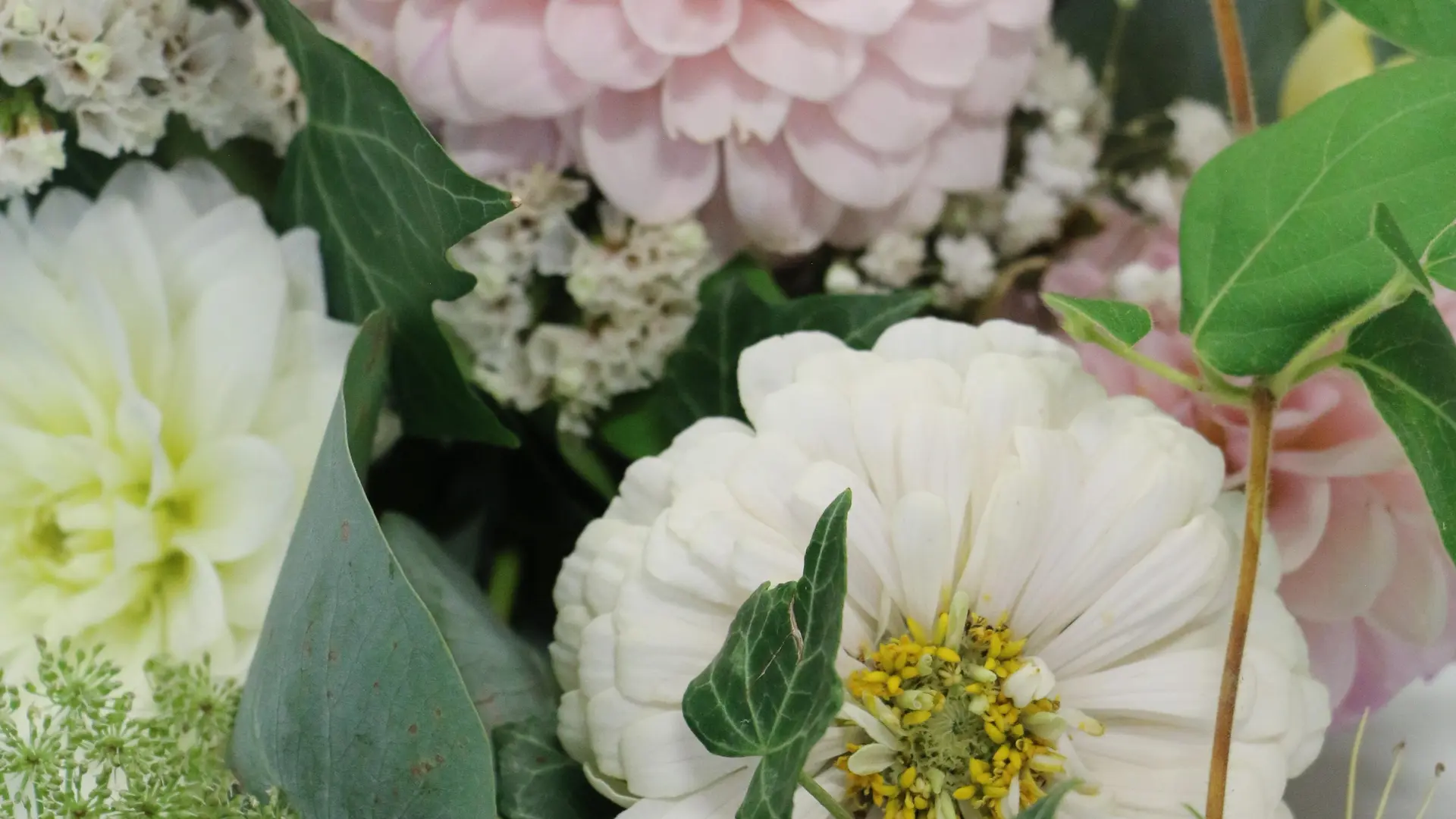 Fleurs d'aout pour une composition de mariage