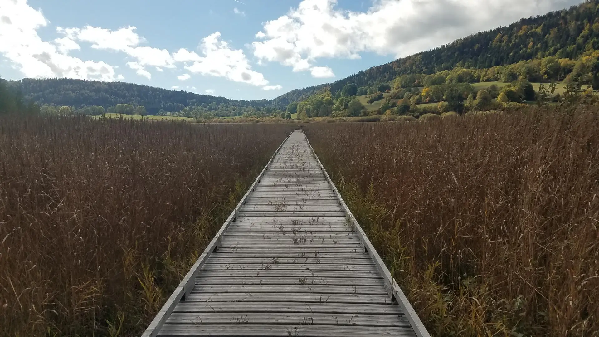 Sentier d 'interprétation des marais de vaux