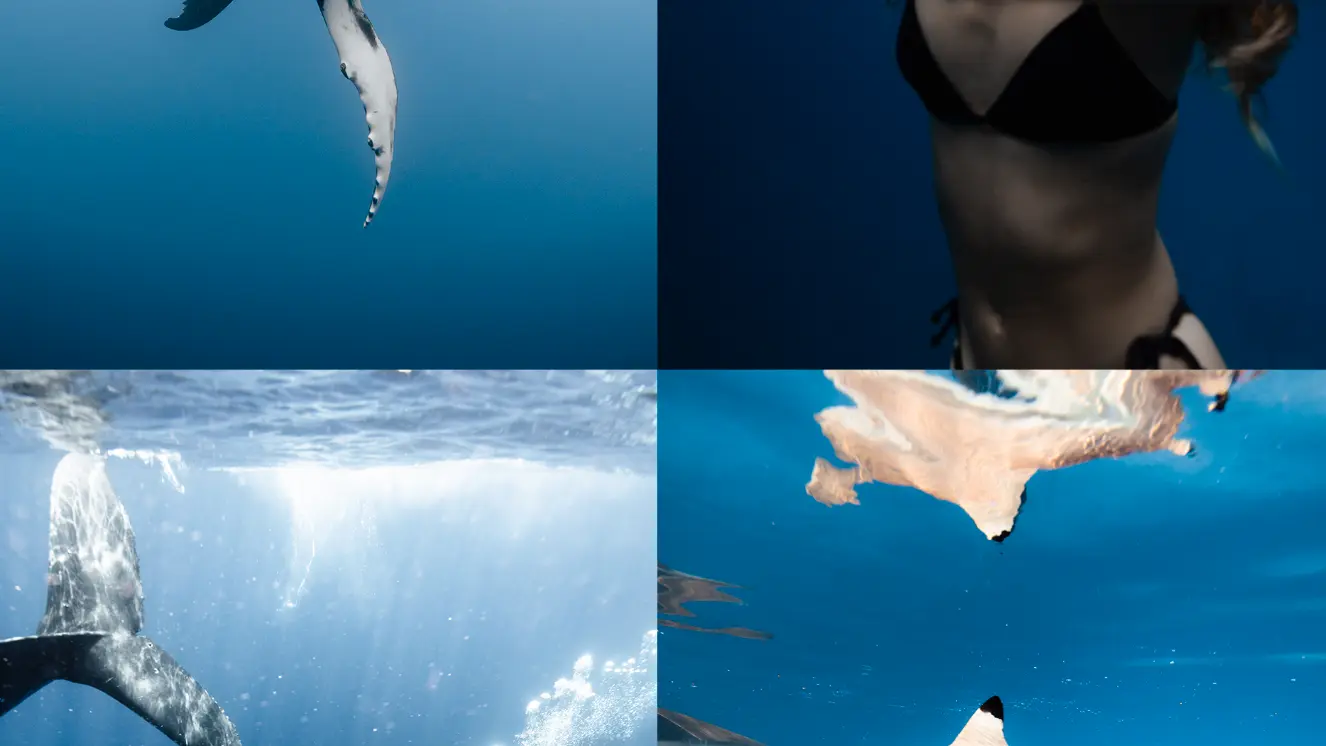 Lgc Photographer_Moorea Maiao