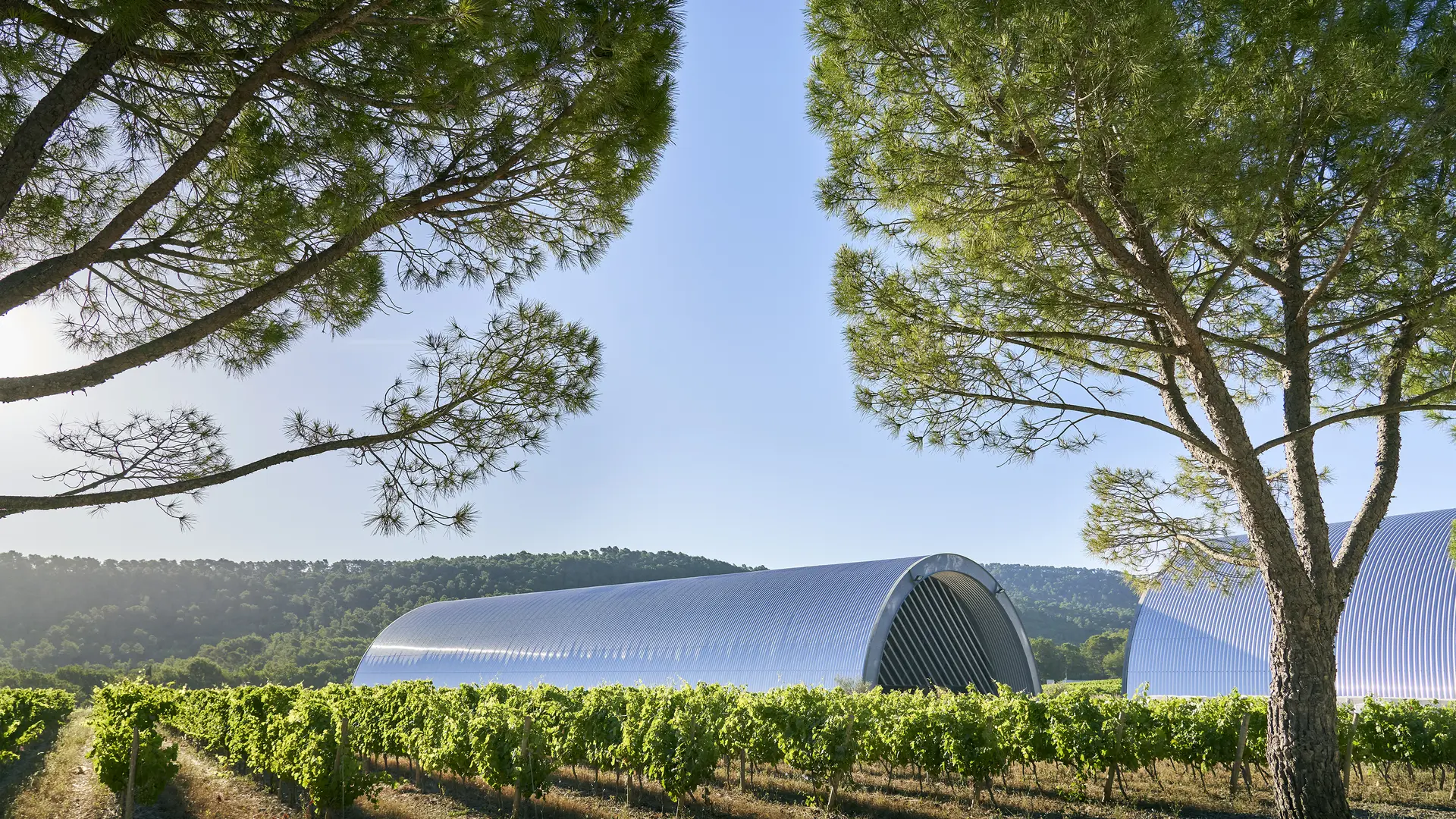 The winery designed by Jean Nouvel, ten metres high and seventeen metres below ground. Jean Nouvel, the winery, 2008, Château La Coste. Photo © Richard Haughton