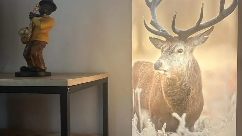 Un peu de lumière au salon en compagnie du cerf
