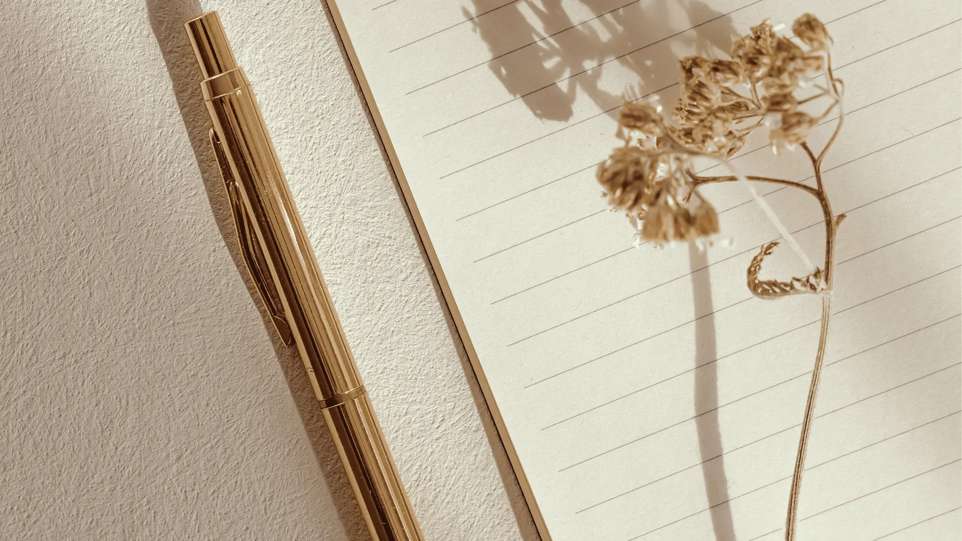 Studio Mentalo - Centre de Bien-être & Soins holistiques_Saint-Raphaël