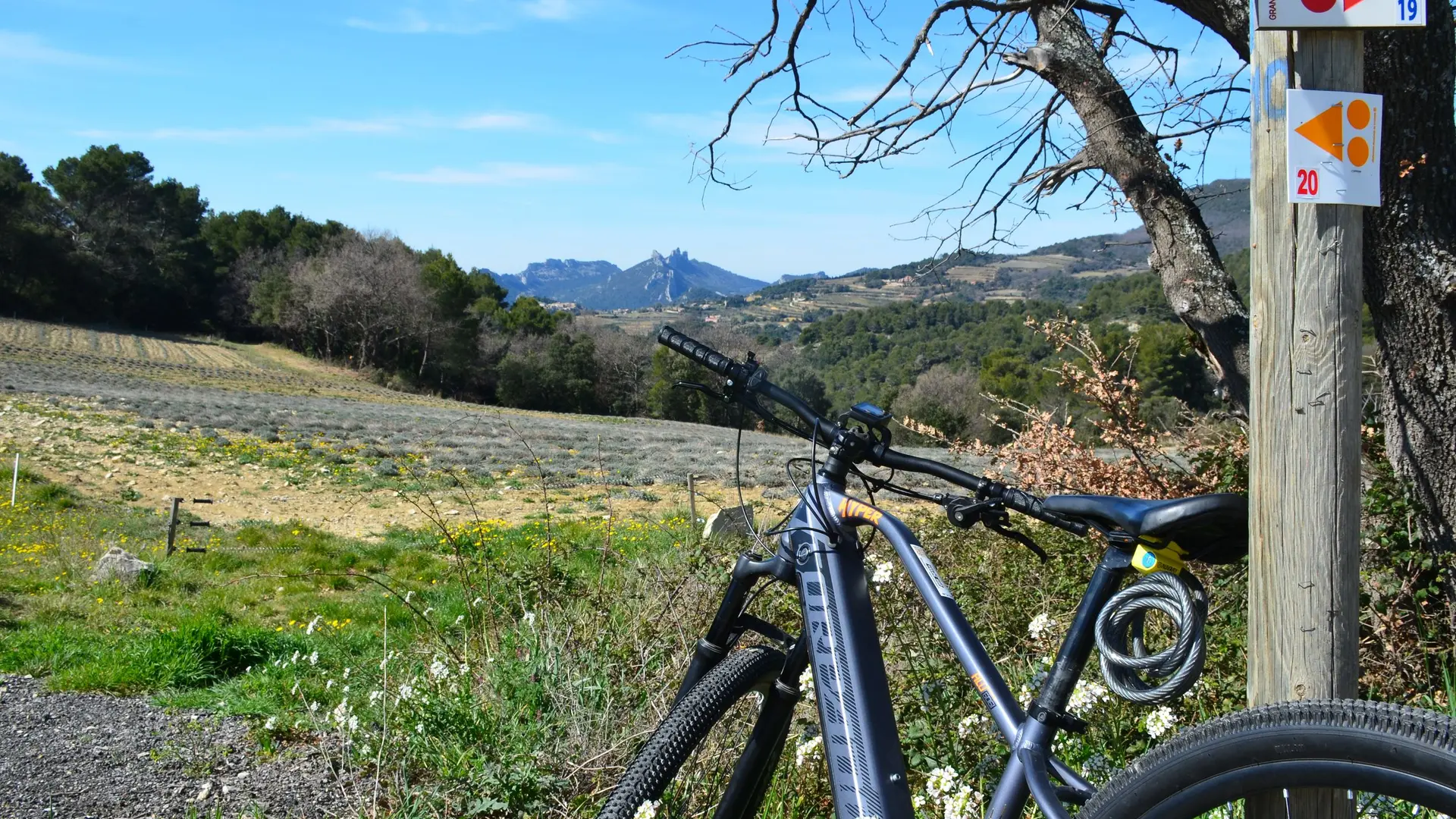 Vue sur les Dentelles de Montmirail