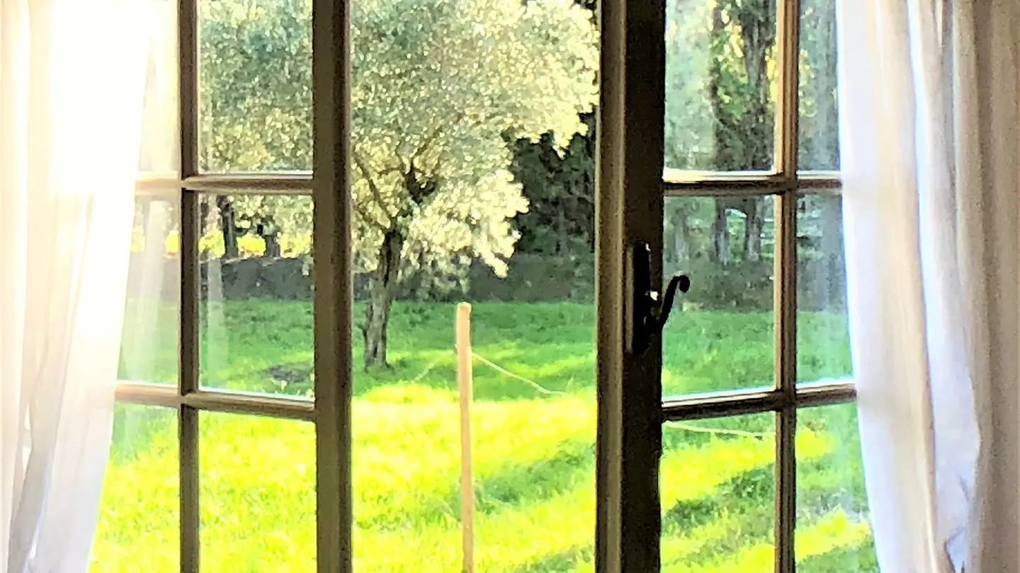 Vue du jardin depuis la chambre