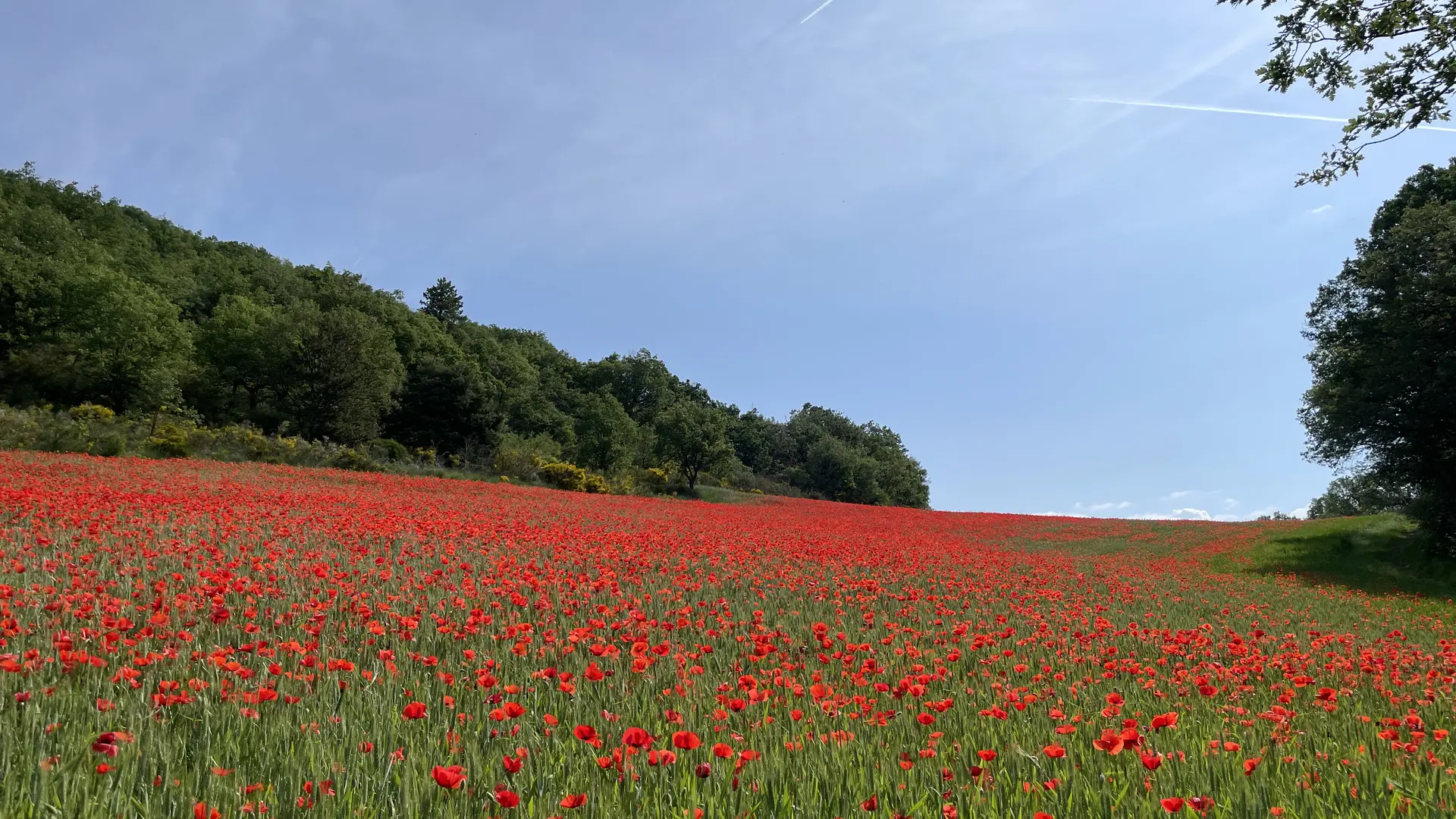 Trail des trois chapelles
