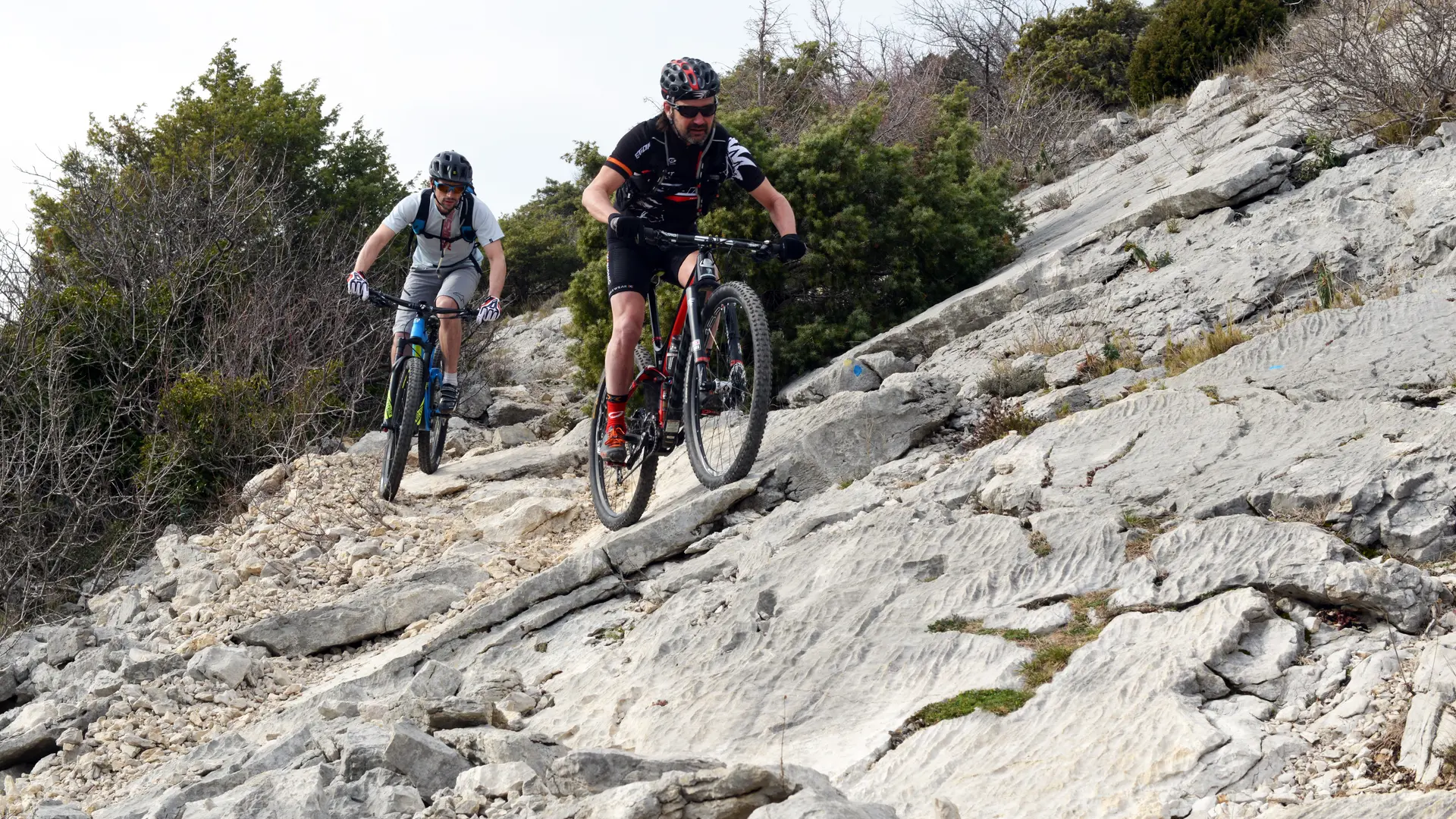 CD84 - Dominique Bottani