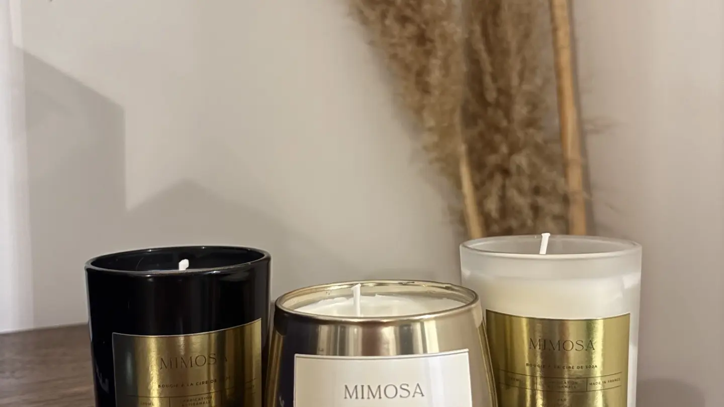 FranceEucaMimosa_Tanneron