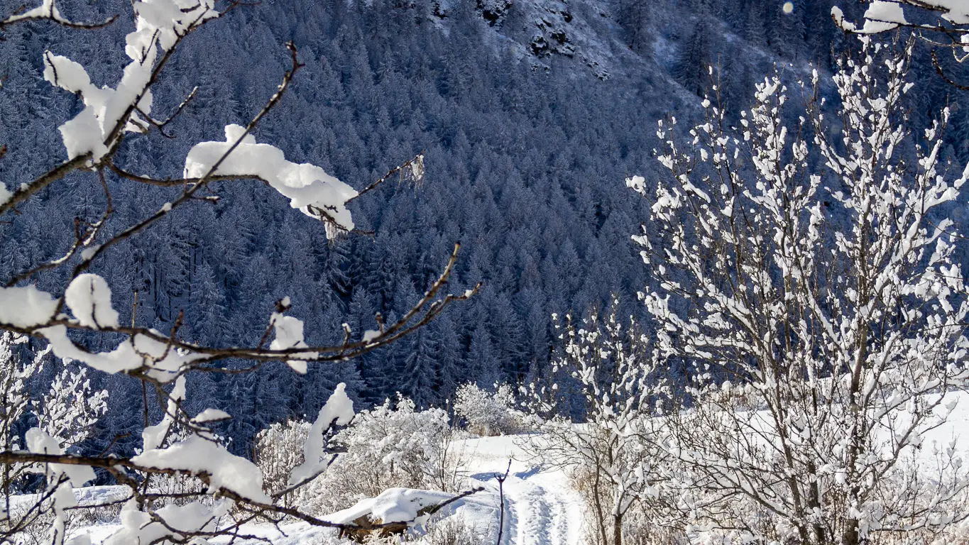 Vallée de la Clarée sous la neige