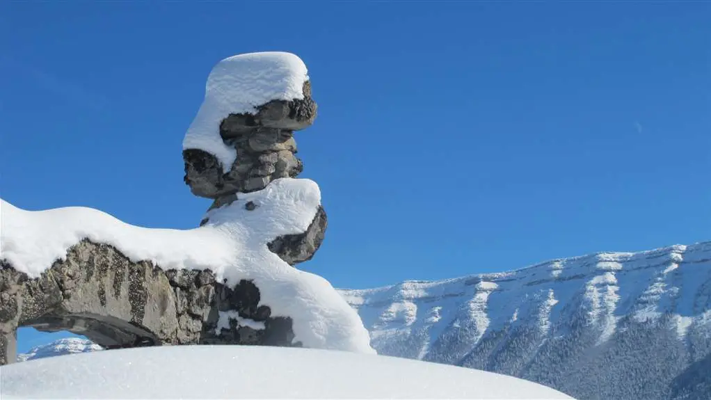 Détail de la ruine du Château de Montbel