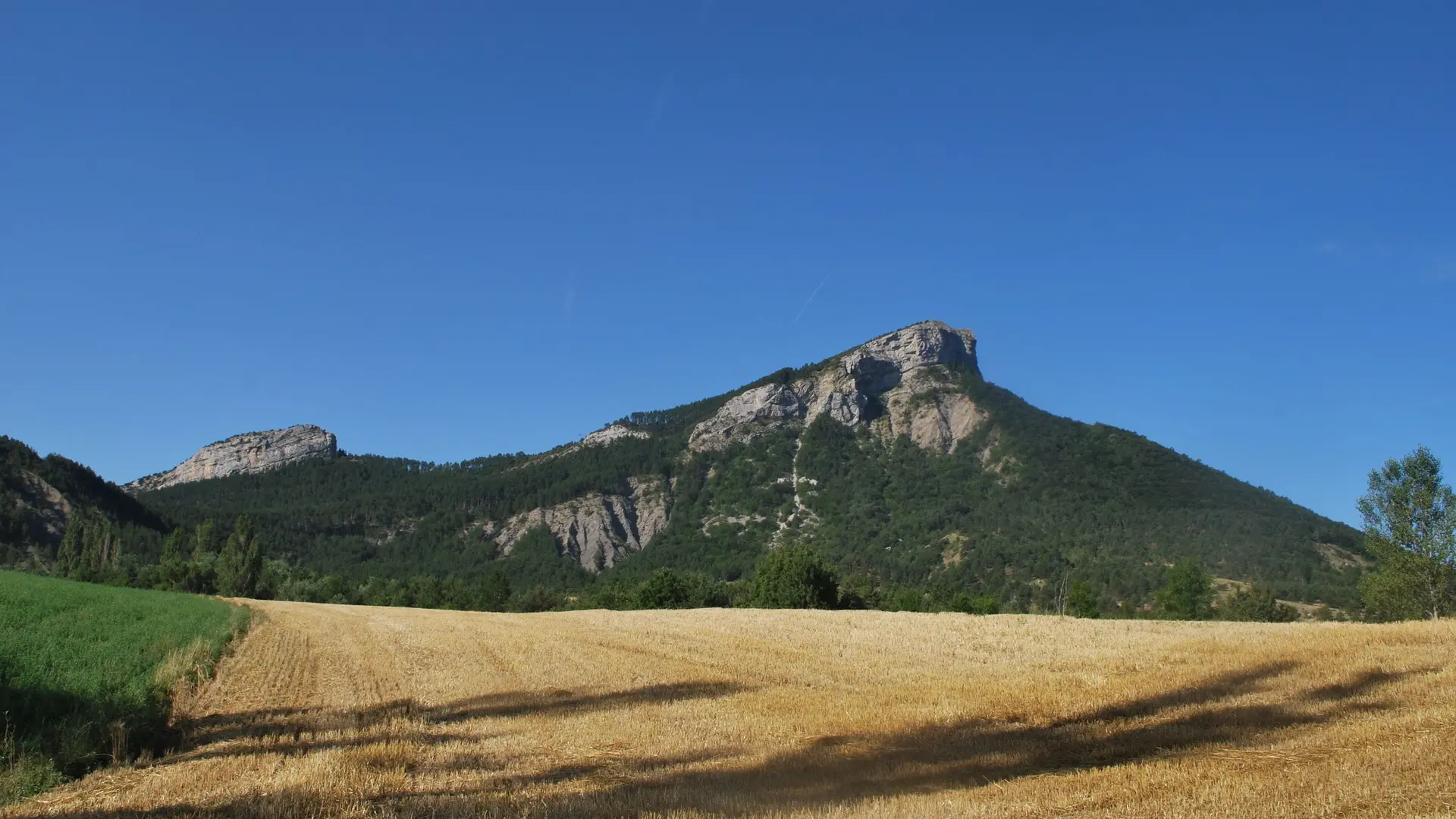 Les plaines agricoles autour de Savournon