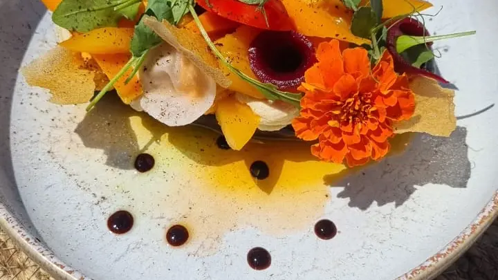 Karma Beach Bandol_Bandol