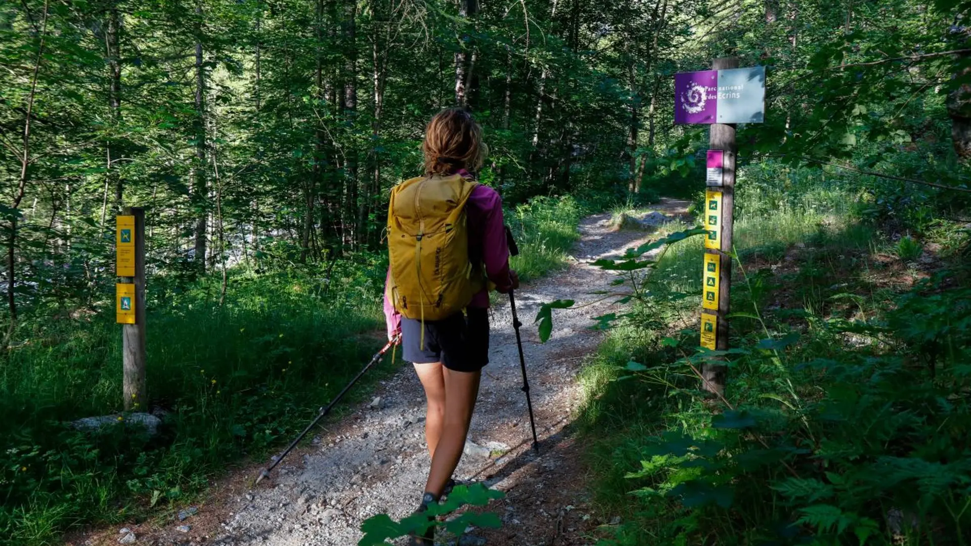 Au départ du sentier du Pelvoux