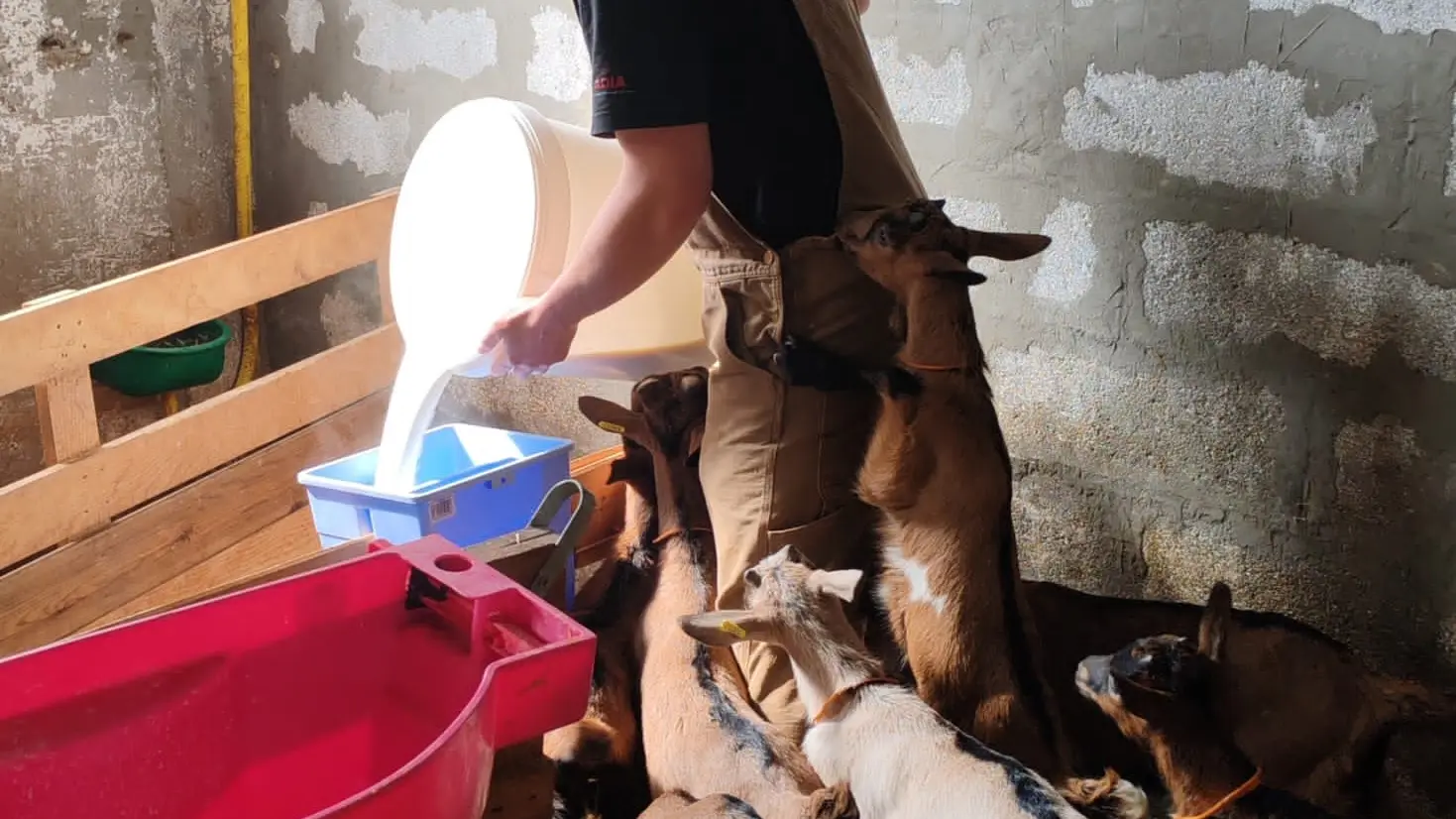 La Ferme Tout là Ô_Orcières
