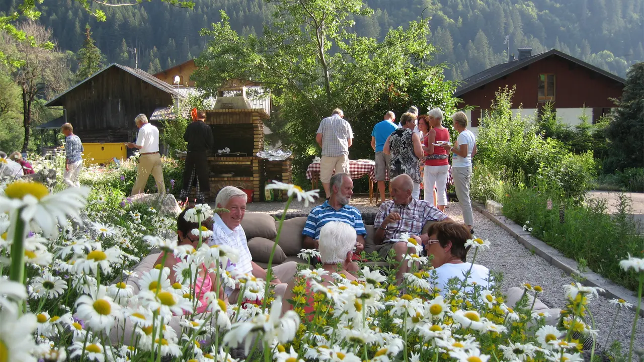 jardin en été