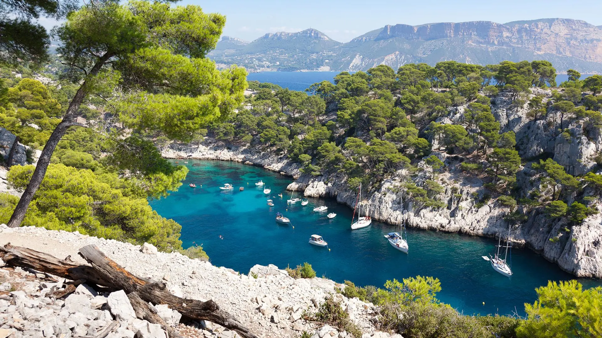 Cassis