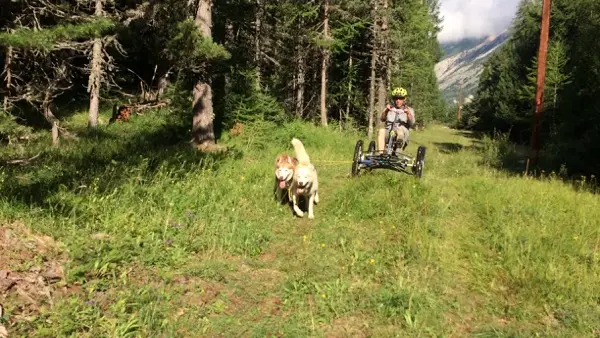 Quadbike avec La Tribu Rando de Seb