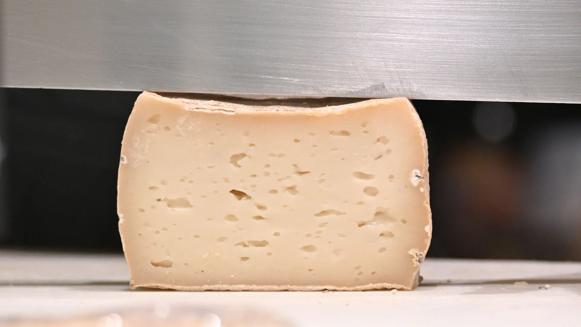 Sélection de fromage artisanal français lors d’une dégustation gastronomique à Nice.