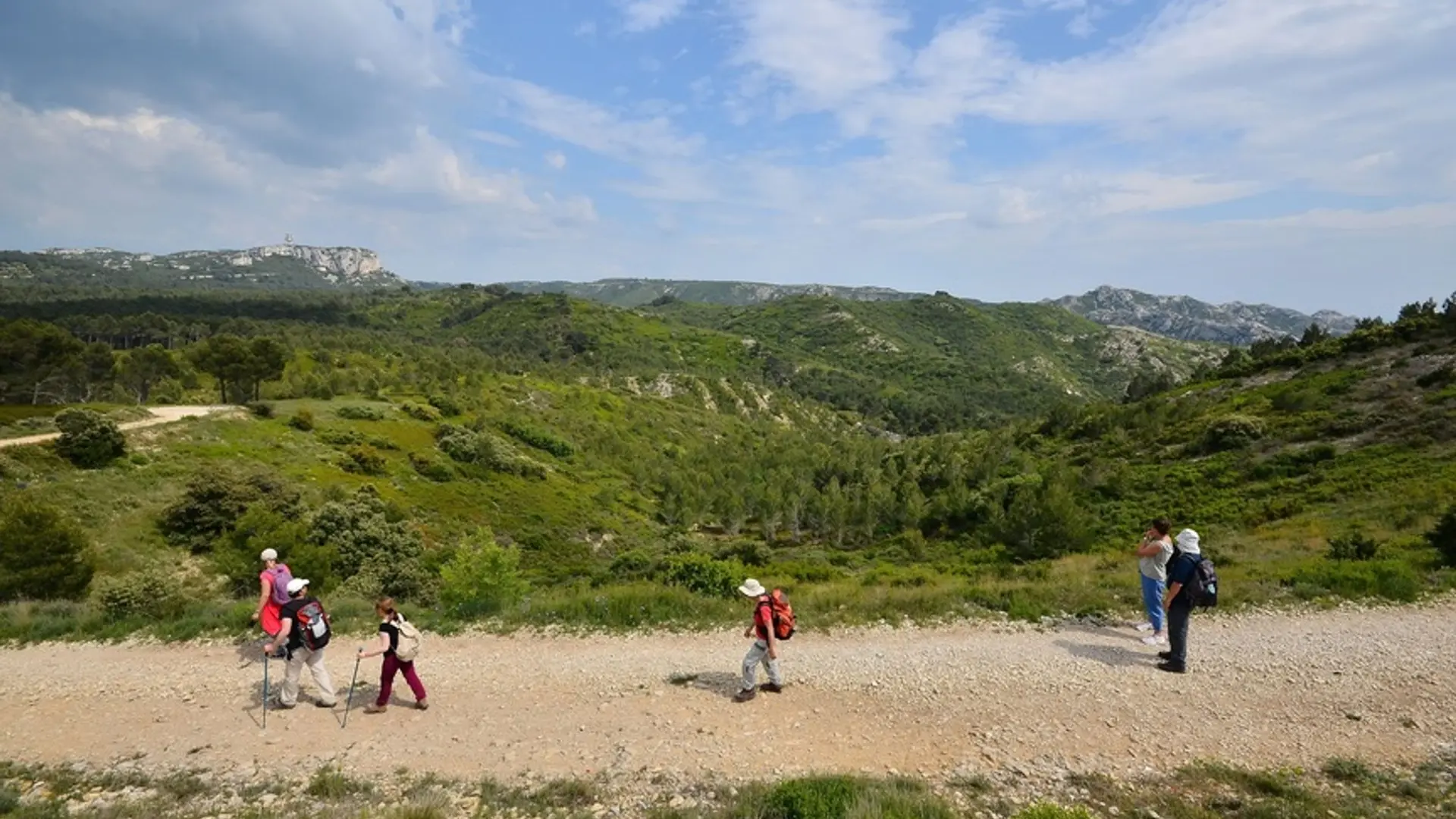 La Vallongue - Aureille