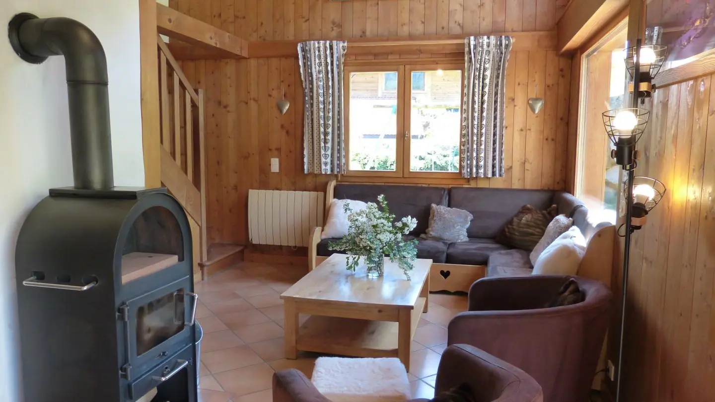 Salon avec poêle à bois ( bois fourni)