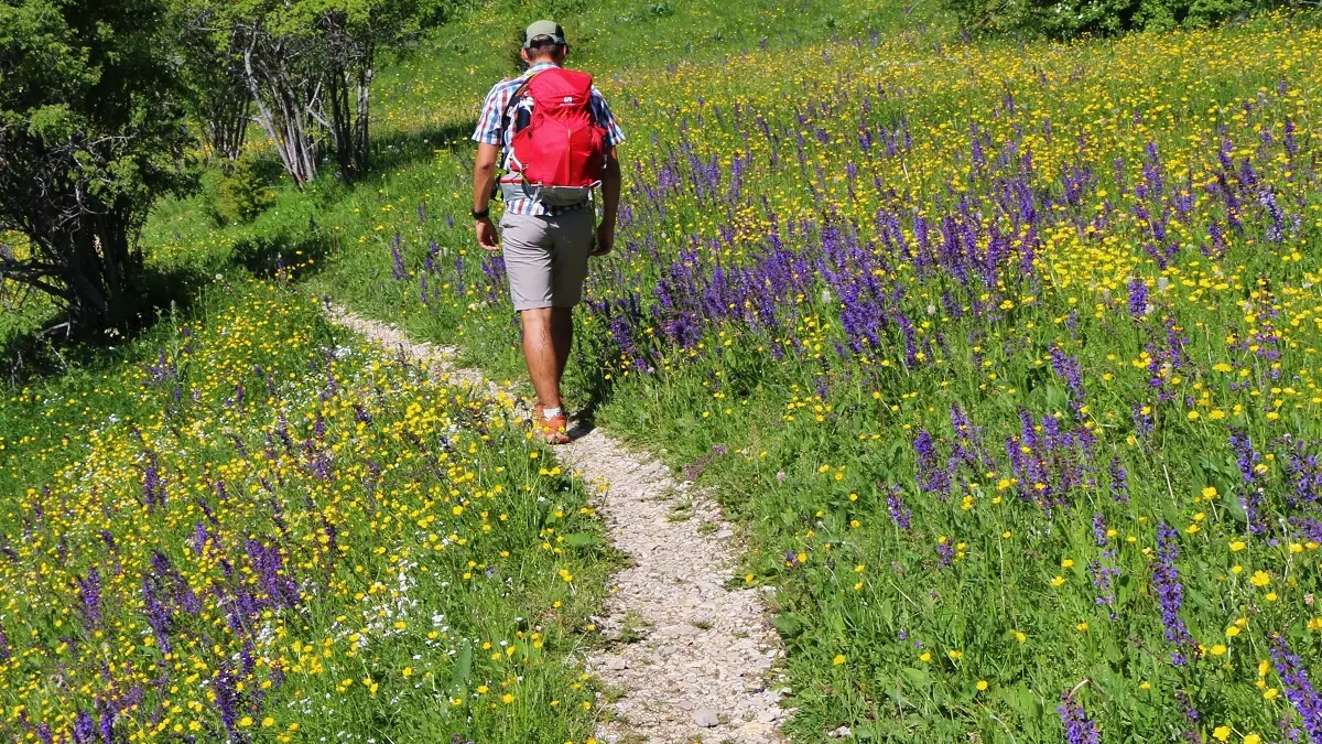 Retrouvance® Buëch Dévoluy  'Sur le chemin des villages disparus' Séjour randonnée accompagnée