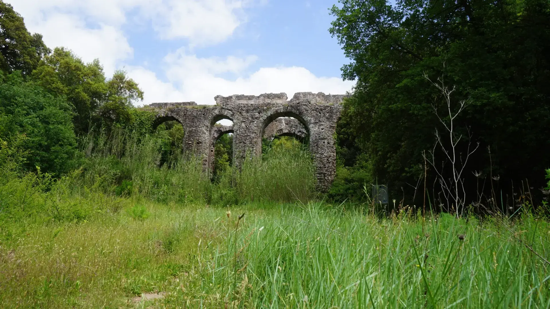 Les Arches Sénéquier Fréjus