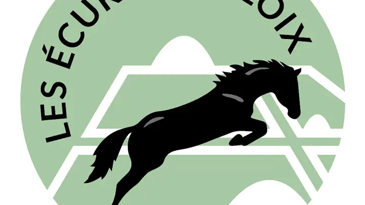 Logo der Rennställe von Loix