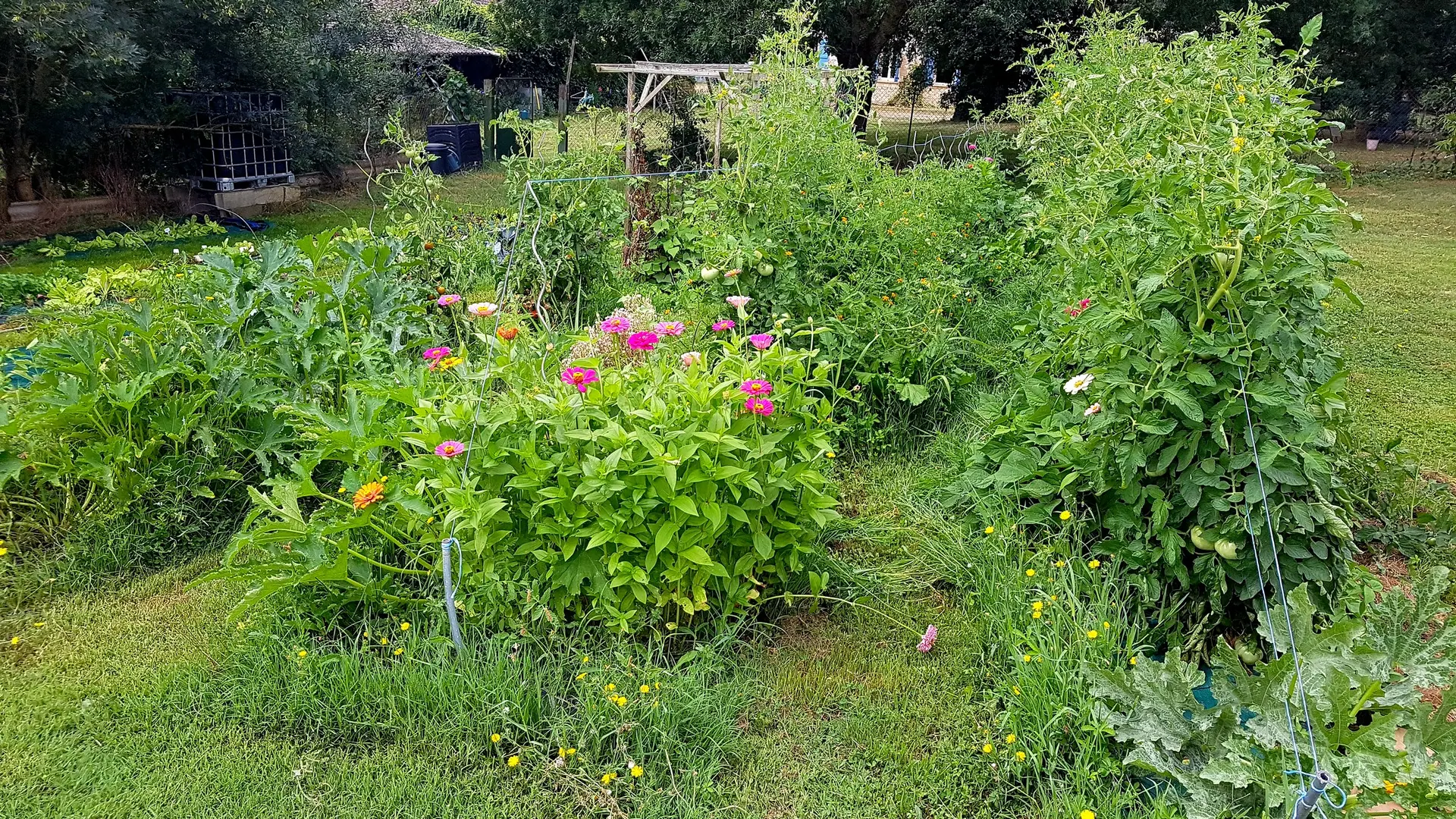 POtager Ferme du Breton