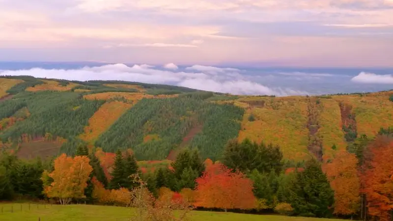 Automne au Domaine de Bécajat