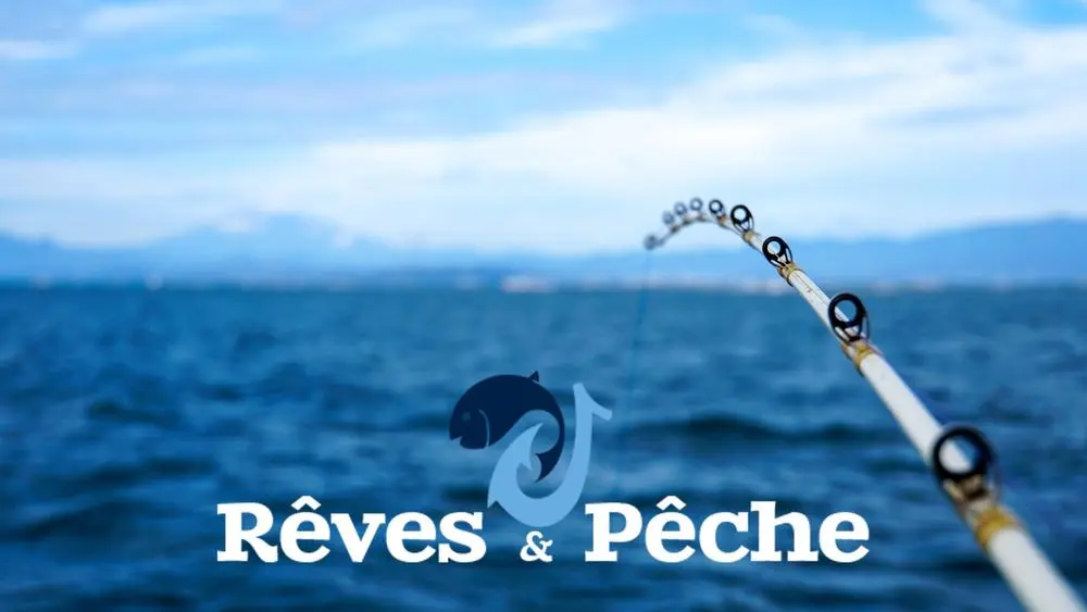 Privatisation pêche en mer par Dream'On_Saint-Martin-de-Ré