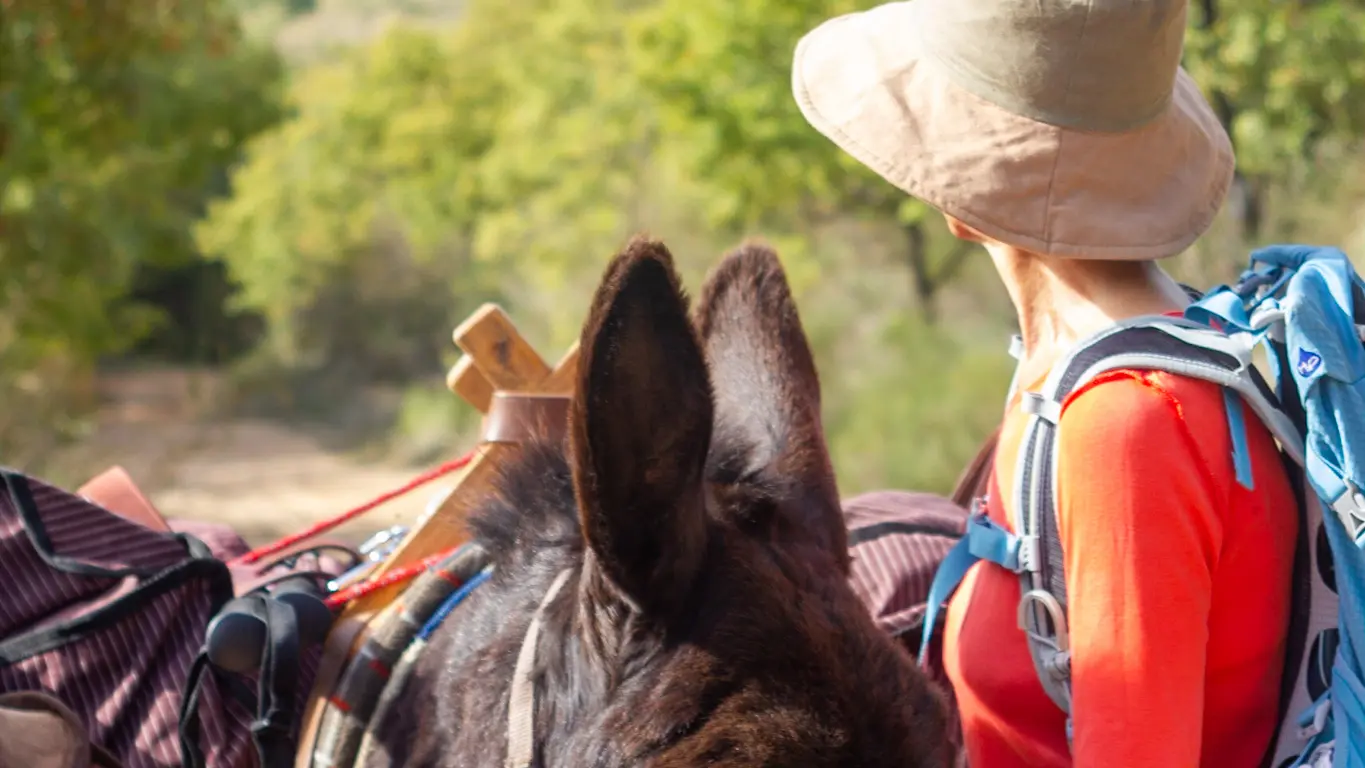 Balade avec Tis'Ânes