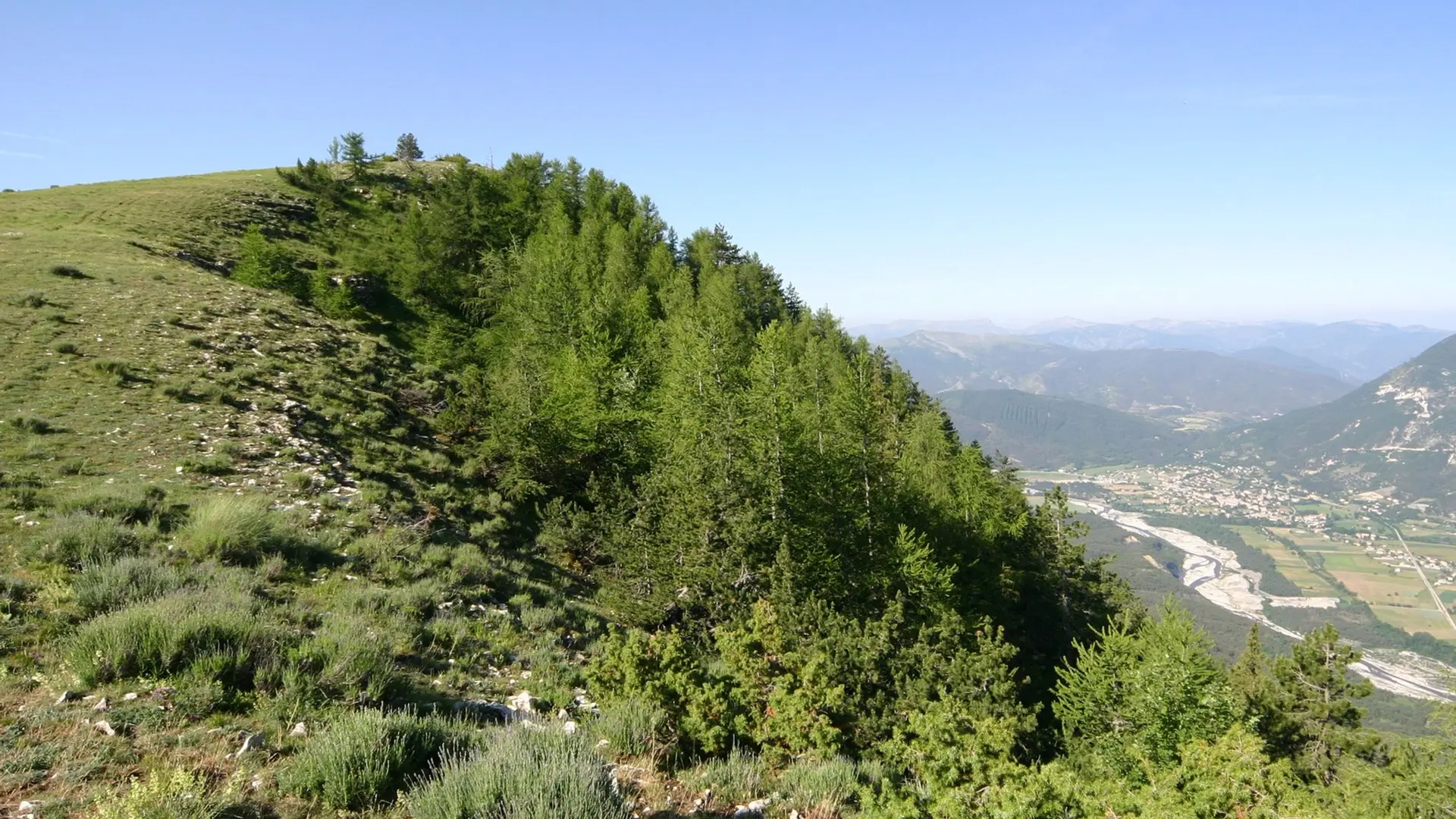 Le sommet de la crête du Serre