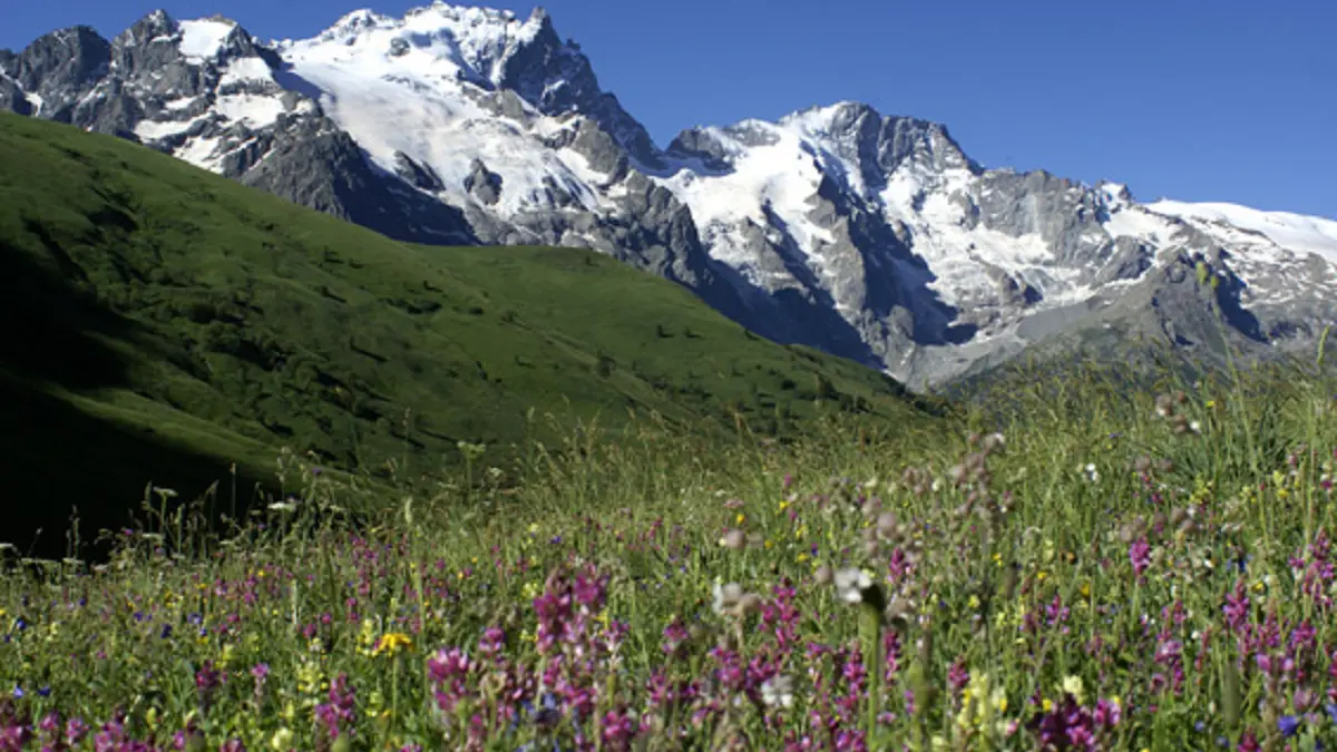 The Meije seen from the Valfroide road