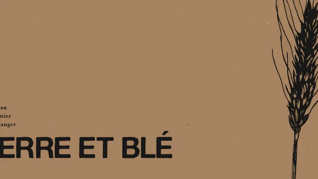 Boulangerie Terre & Blé à Saiint-Rémy-de-Provence