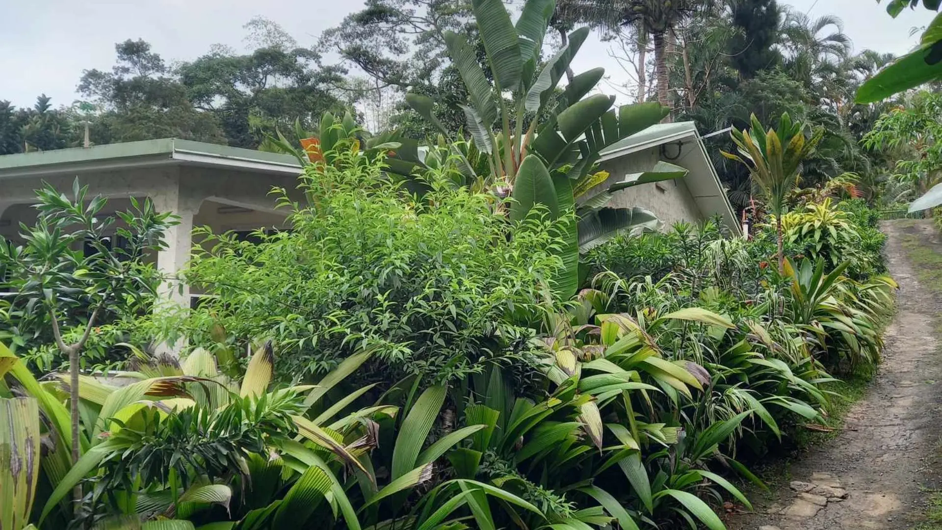 Le jardin qui arrive à la villa