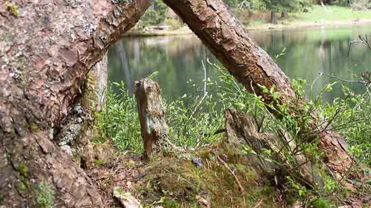 Lac de Petetoz