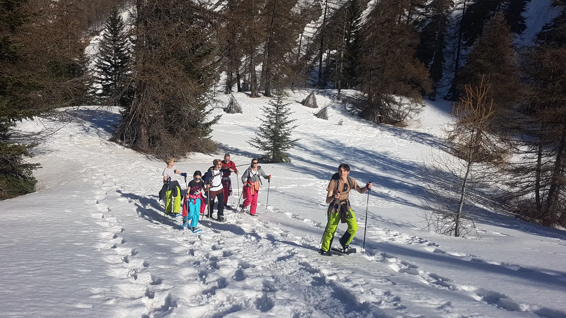 En raquettes sur les traces du loup Haut Verdon Mercantour