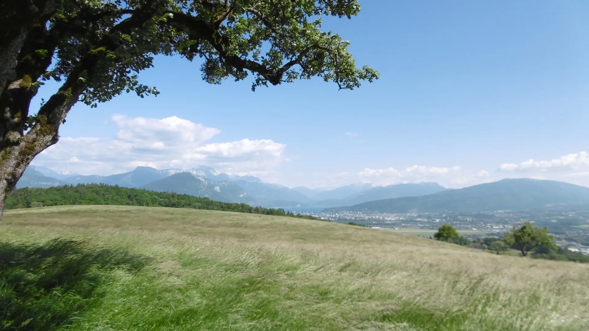 Point de vue - Ferrières