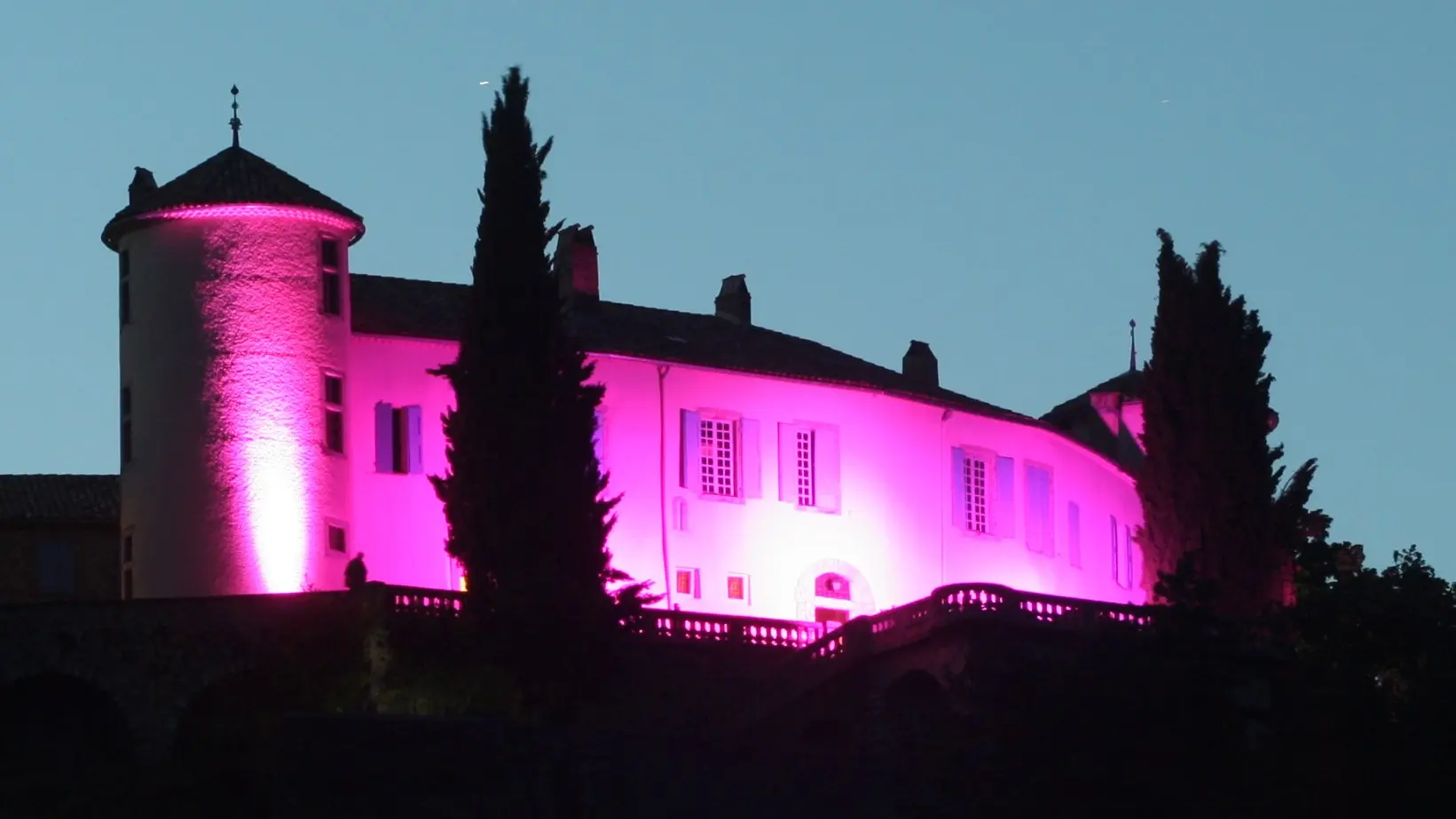 Château de Ventavon rose