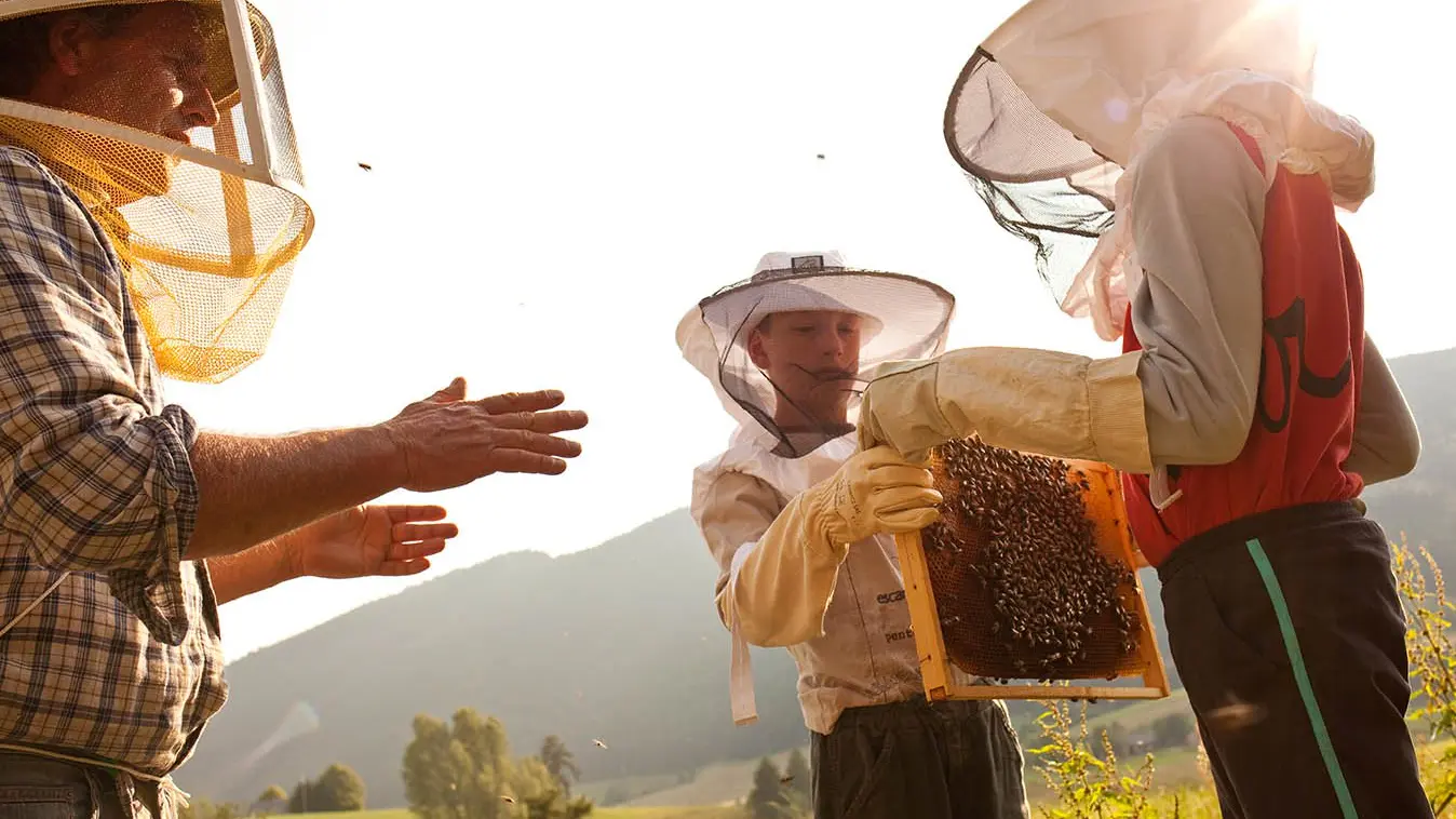 Savoir-faire agricole