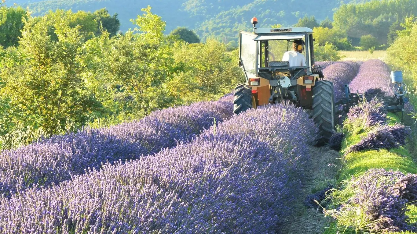 Rencontrez les agriculteurs