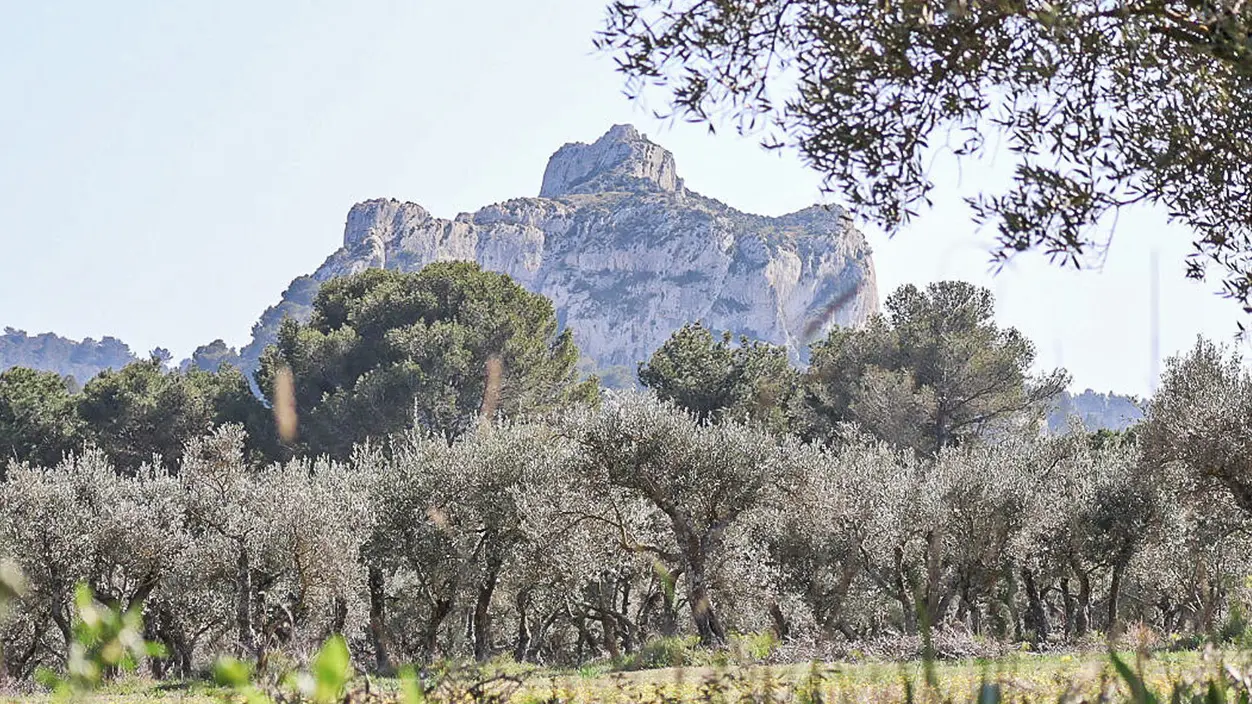 Klettergebiet_Saint-Remy-de-Provence_Berg_Gaussier