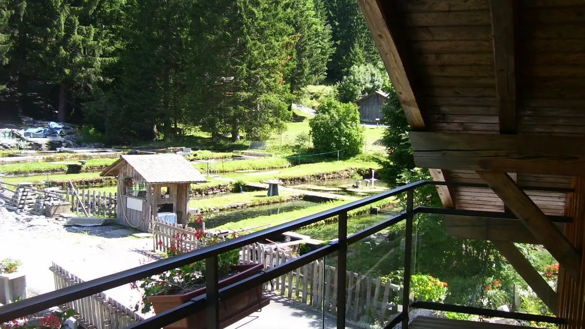 Vue du balcon sur la pisciculture