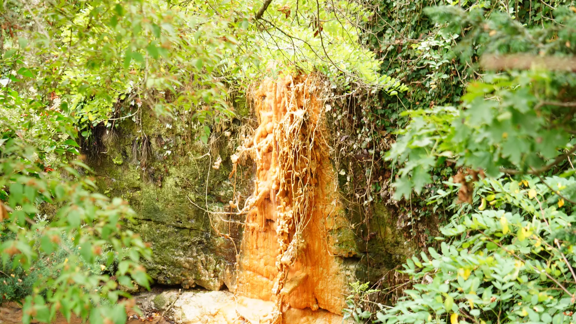 Châtel-Guyon parc thermal