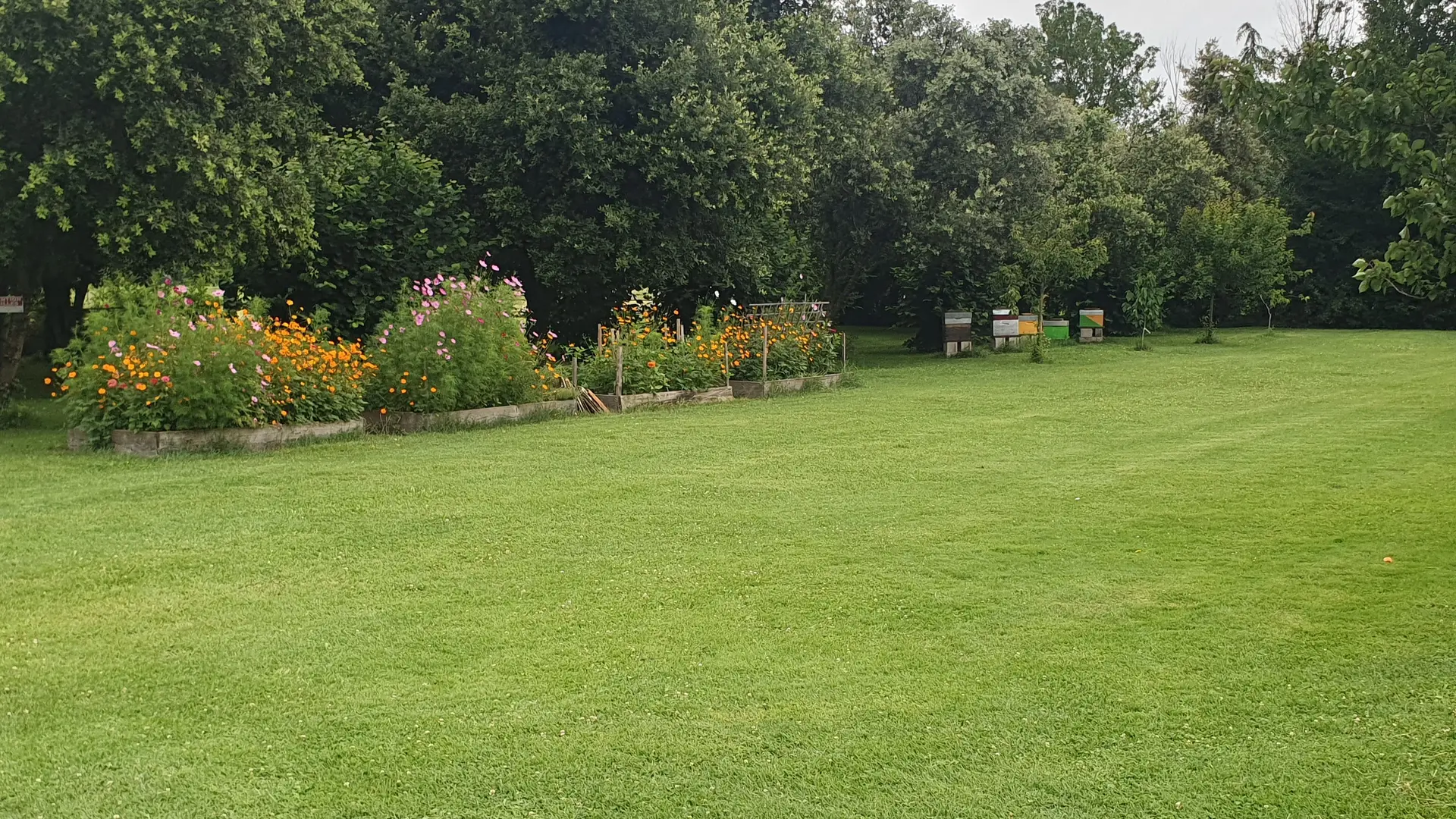 le jardin  Fleury 2024 avec nos ruches