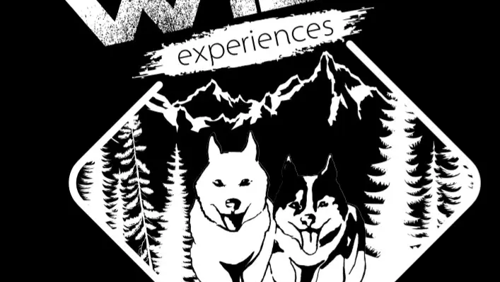 Wild Expériences chien de traîneau