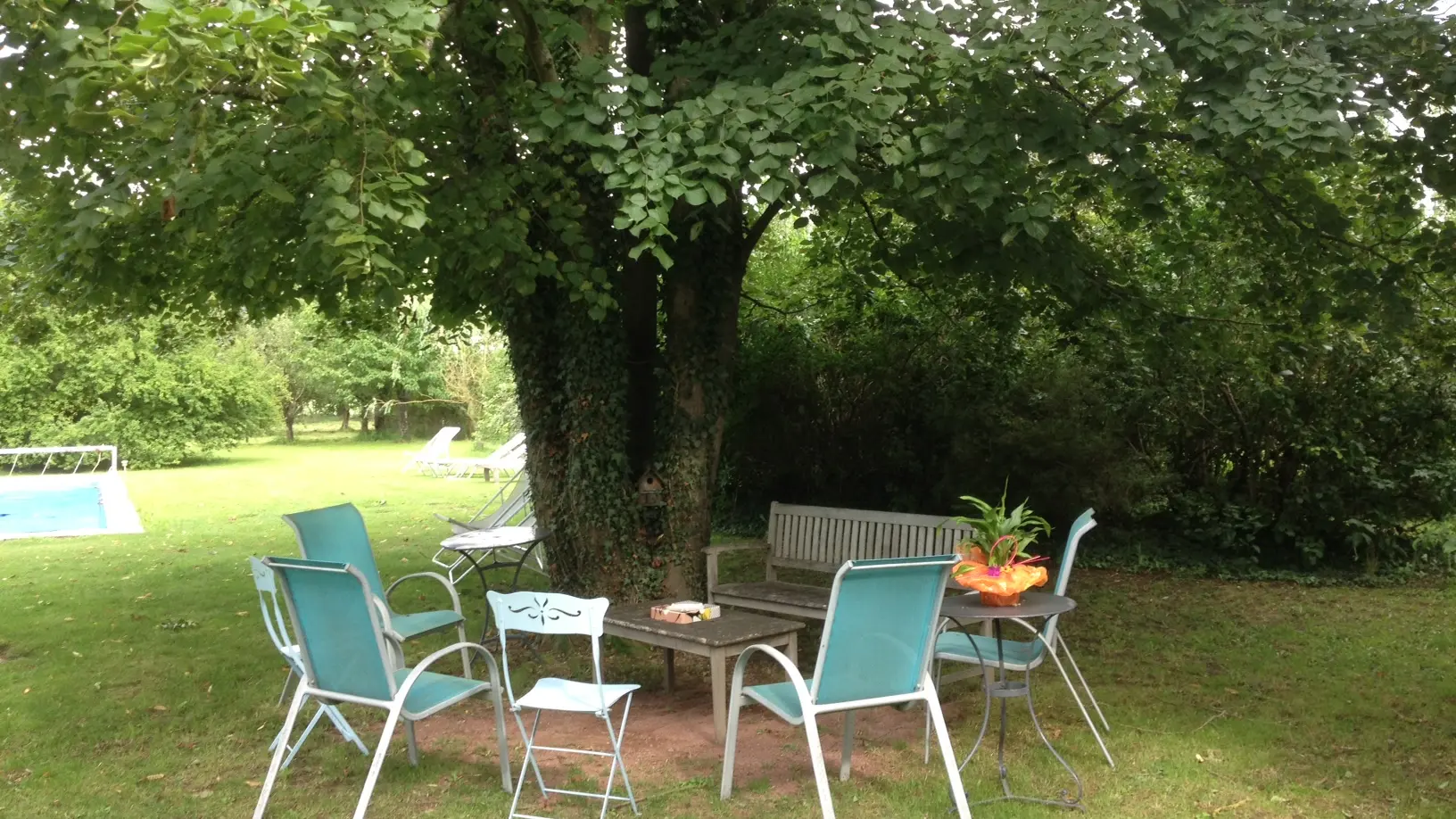 Jardin
