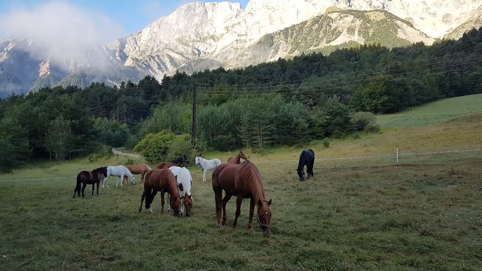 Parc chevaux - Gîte Le Claret